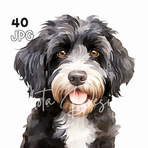 Portugese waterhond clipart - 40 hoge kwaliteit JPG's - digitale planner, junk journaling, aquarel, kunst aan de muur, commercieel gebruik, mokken, kleding