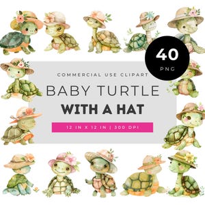 Baby Turtle With Hat Clipart PNG, Watercolor Floral Turtle, Cute Nursery Animal Art, Spring Garden Tortoise Illustration Set