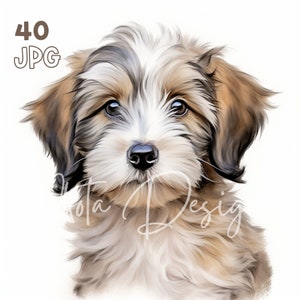 ハバニーズ子犬クリップアート - 40 枚の高品質 JPG - デジタル プランナー、ジャンク ジャーナリング、水彩、ウォール アート、商用利用、デジタル ダウンロード