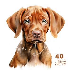 Vizsla Puppy Clipart - 40 High Quality JPGs - Digital Planner, Junk Journaling, Watercolor, Wall Art, Commercial Use, Digital Download, Mugs