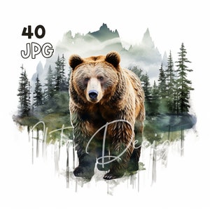 Grizzly Bear Clipart - 40 hoge kwaliteit JPG's - Digitale Planner, Junk Journaling, Aquarel, Muurkunst, Commercieel Gebruik, Digitale Download, Mokken