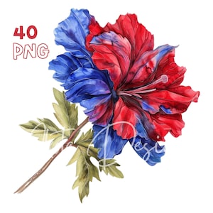 4 juillet Flowers Clipart - 40 PNG de haute qualité - Planificateur numérique, Junk Journaling, Aquarelle, Art mural, Utilisation commerciale, Memorial Day