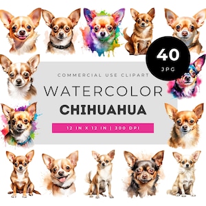 Chihuahua Watercolor Clipart Set, Realistic Small Dog Illustration for Pet Lover Gifts, Nursery Decor, Fabric & Craft Design