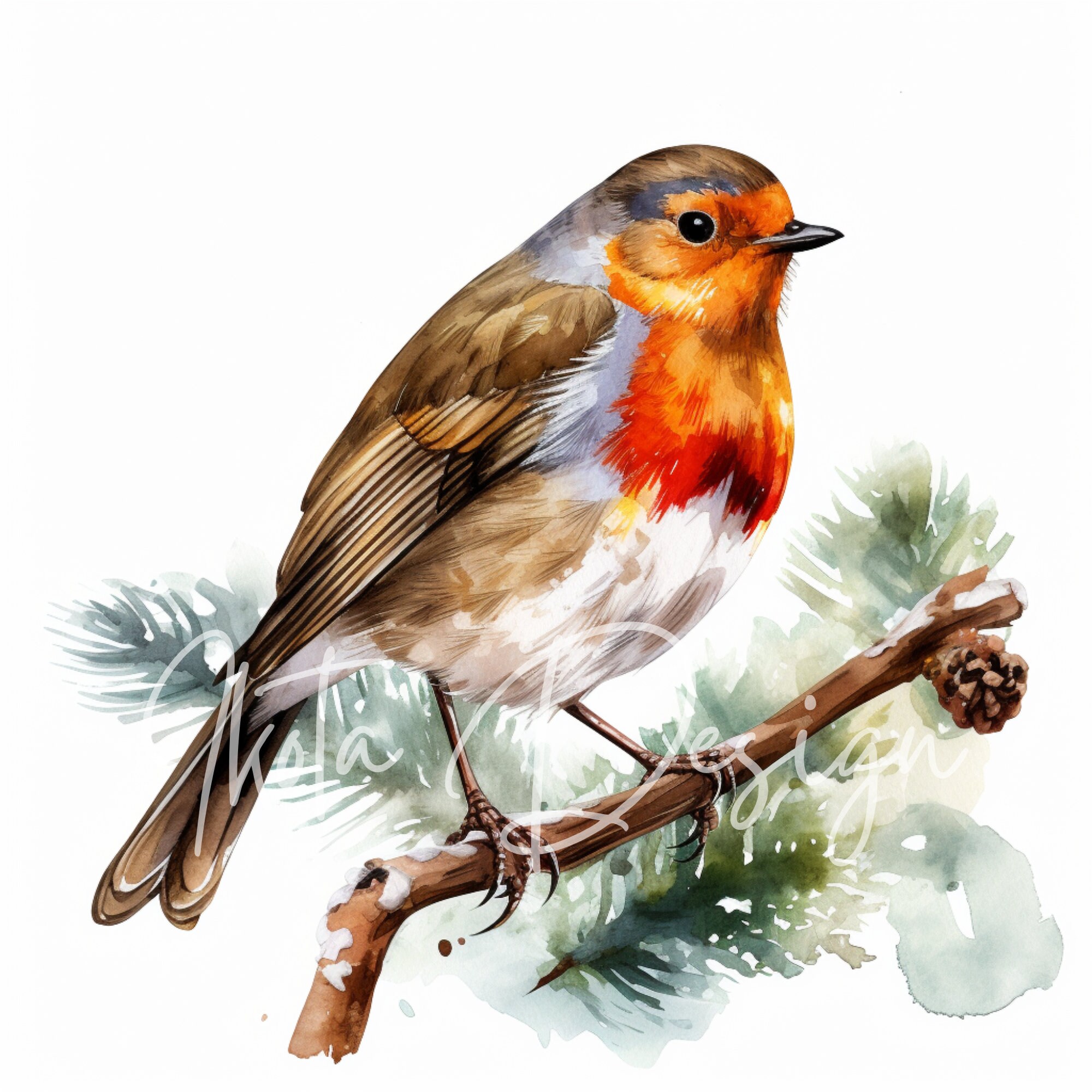 Christmas Robin Clipart, Watercolor Winter Birds on Holly Branches With ...