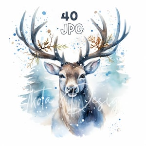 Magical Reindeer Clipart - 40 JPG di alta qualità - Pianificatore digitale, Junk Journaling, Acquerello, Uso commerciale, Download digitale, Tazze