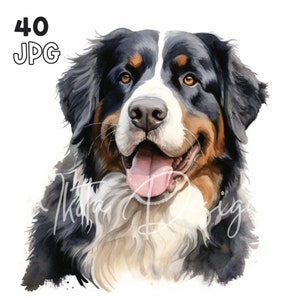 Berner Sennenhund Clipart - 40 hochwertige JPGs - Digitaler Planer, Junk Journaling, Aquarell, Wandkunst, kommerzielle Nutzung, digital, Tassen