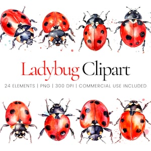 Clipart Coccinella - 24 PNG di alta qualità - Pianificatore digitale, Junk Journaling, Linee semplici, Arte della parete, Uso commerciale, Download digitale
