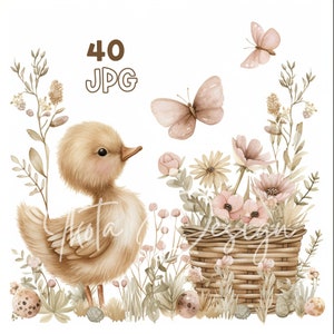 Easter Duckling Clipart - 40 hoge kwaliteit JPG's - Digitale Planner, Junk Journaling, Aquarel, Muurkunst, Commercieel Gebruik, Digitale Download