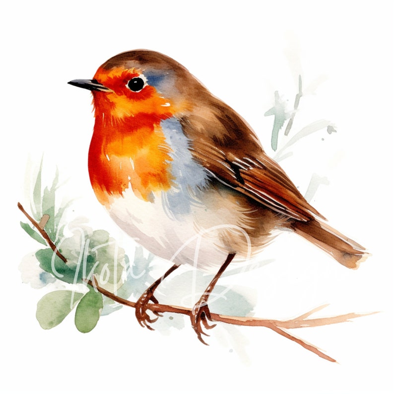 Christmas Robin Clipart, Watercolor Winter Birds on Holly Branches With ...