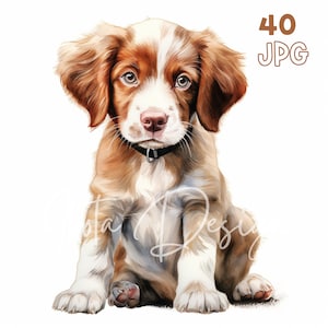 Brittany Dog Puppy Clipart - 40 JPGs de alta qualidade - Planejador digital, Junk Journaling, aquarela, arte de parede, uso comercial, download digital