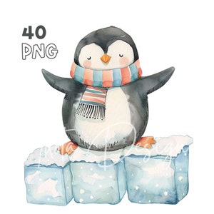 Baby Penguin on Ice Clipart - 40 High Quality PNG - Digital Planner, Junk Journaling, Watercolor, Wall Art, Commercial Use, Digital Download