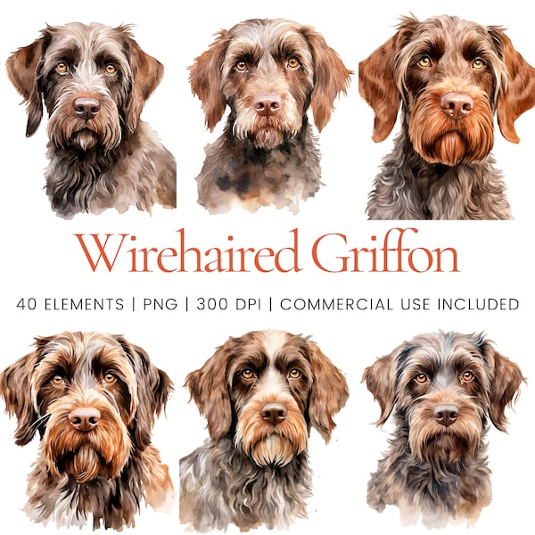 Wirehaired Griffon Clipart - 40 High Quality PNGs - Digital Planner, Junk Journaling, Watercolor, Commercial Use, Digital Download, Apparel