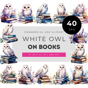 本に描かれた白いフクロウのクリップアート JPG バンドル、水彩画のシロフクロウのイラスト（教師用、図書館の装飾、教室、読書テーマ用）