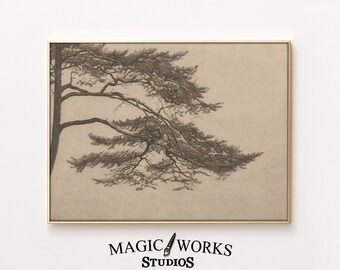 Vintage Tree Branch Art Print – Spreading Branches Sketch (Digital Download)