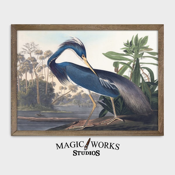 peinture vintage Louisiane Heron « Birds of America » | Art mural oiseau | Impression d'oiseau héron | Téléchargement numérique imprimable | #A2-14