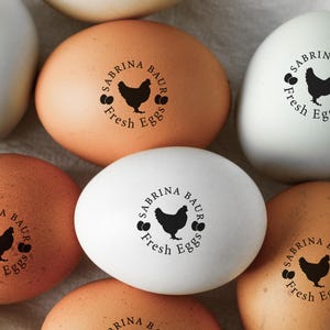 Sellos de huevo Sello de huevo personalizado, idea de gallinero, sello de huevo de gallina, sello de granja, regalos de gallina, sello de mini huevo de gallina para granjero