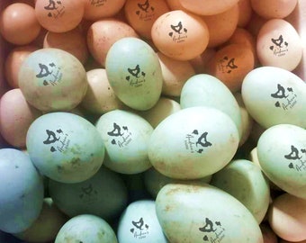 Egg Stamp, Chicken Egg Stamp, Egg Stamps, Custom Egg Stamp, Egg Labels, Mini Egg Stamp, Farm Stamp, Eggs Stamp, Fresh Egg Stamp