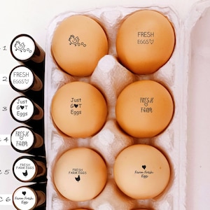 Mini Ovo - Carimbo de tinta de ovo de galinha -- Mini Ovo de Fazenda Fresco - Carimbo de ovo PERSONALIZADO - Carimbo de pato