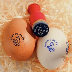 Sellos de huevo Sello de huevo personalizado, idea de gallinero, sello de huevo de gallina, sello de granja, regalos de gallina, sello de mini huevo de gallina para granjero