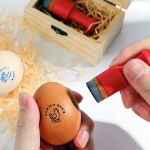 Sello de huevo personalizado, sello de huevo, sello de cartón de huevos personalizado, sello de huevo fresco, sello de huevo de gallinero, sello de huevo personalizado, huevo, sello, bandeja de huevos
