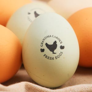 Sellos de huevo Sello de huevo personalizado, idea de gallinero, sello de huevo de gallina, sello de granja, regalos de gallina, sello de mini huevo de gallina para granjero