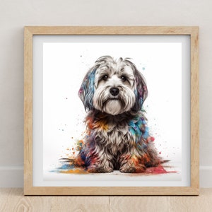 Stampa Havanese / Havanese / Poster Havanese / stampa ad acquerello / Amanti dei cani / ritratto di animali domestici