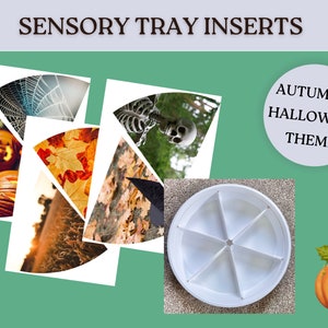 Inserts sensoriels d&#39;automne Halloween sur le plateau Ressource imprimable de corbeille sensorielle pour les jeux d&#39;automne Matériaux de la corbeille sensorielle pour la petite enfance Enseignement Montessori