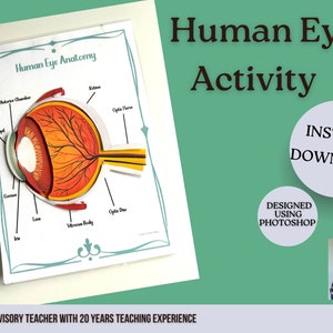 Human Eye Anatomy Printable Worksheet Sense Of Sight Activity Biology Eye Diagram GCSE Revision Science Lesson For High School Worksheet