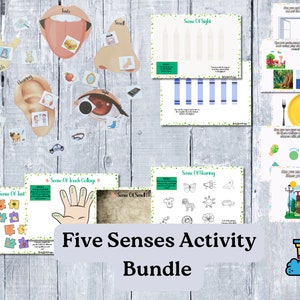 Five Senses Activities Printable For The 5 Senses Activity Montessori Resources For Five Senses Teaching Materials For Homeschool 5 Senses