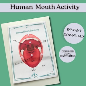 Human Mouth Anatomy Activity High School Biology Resource Secondary Science Diagram Worksheet Printable Interactive Labelling Materials