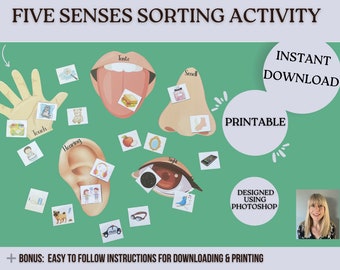 Five Senses Sorting Activity Printable 5 Senses Resource For Homeschool Printable Five Senses Materials Sorting Kid's Worksheets 5 Senses