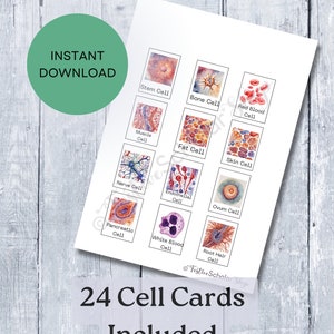 Biology Human Cell Flashcards for Guessing Game Printable Science ...
