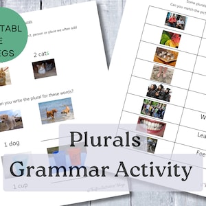 Plurals English Grammar Worksheets For ESL Pupils Homeschool English Resources Plurals Materials For ESL Teacher Learn English Grammar