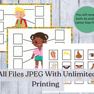 Body Parts Activity Printable for Toddlers Parts of the Body Printable ...