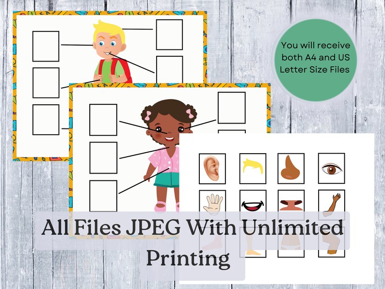 Body Parts Activity Printable for Toddlers Parts of the Body Printable ...