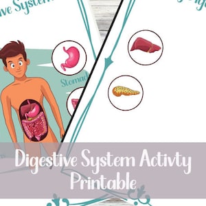 Digestive System Activity Printable Digestive System Resources Printable Homeschool Materials Digestive System Teaching Materials Science