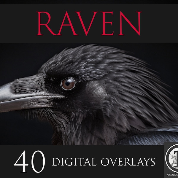 Raven Digital Overlays,Raven PNG Overlays, Animal clipart, Animal overlays, Photoshop overlays,