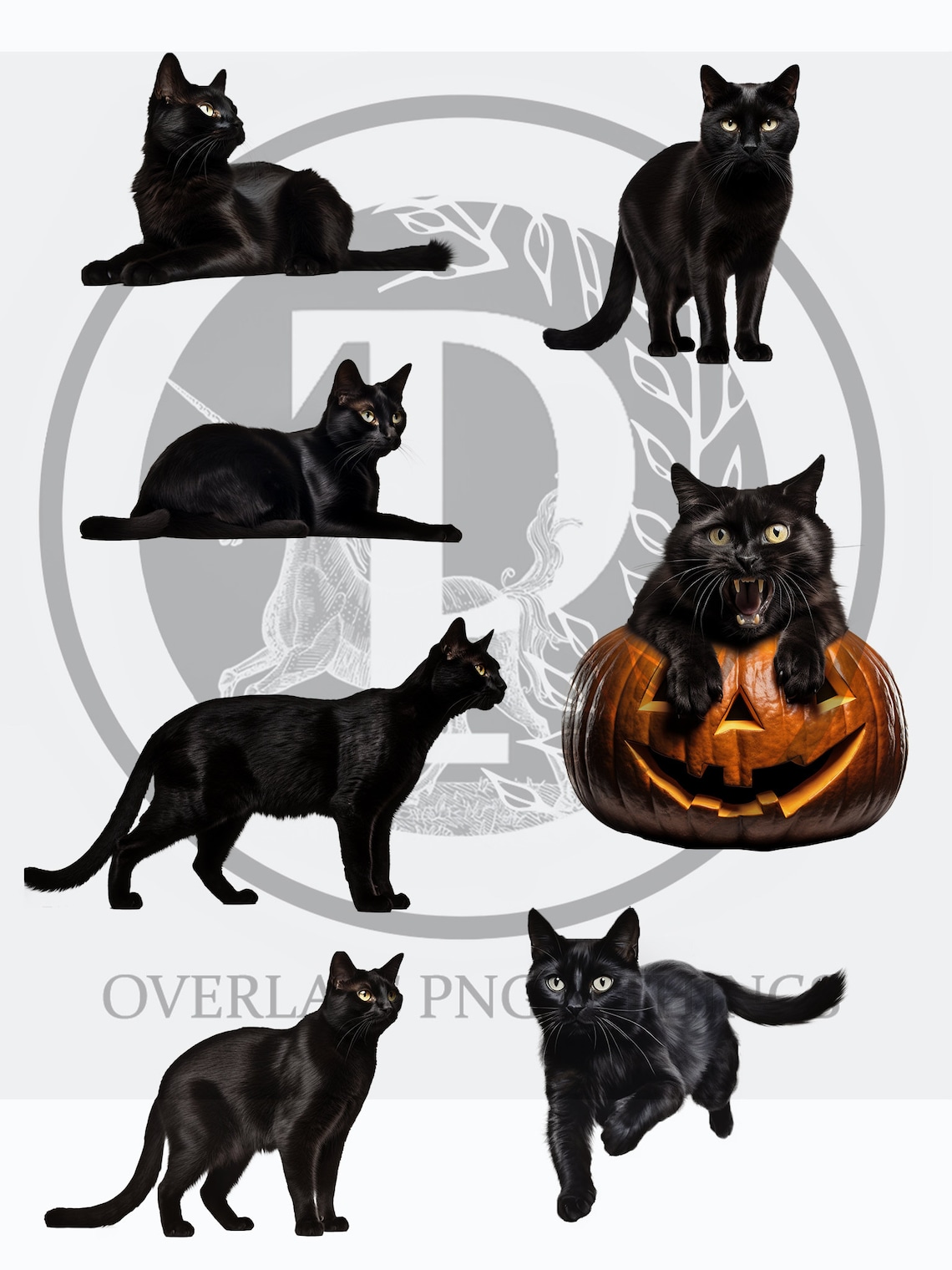 Cat Sticker Overlay Black Cat Overlays Collection / Cat Png / Halloween Clipart / Witch ...