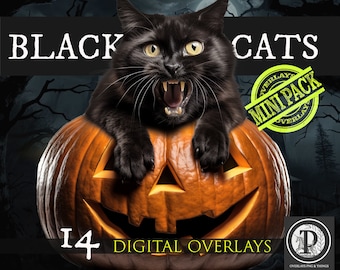 Black cat Overlays Collection / Cat png / Halloween clipart / Witch overlays / Spooky art / Photoshop Overlays / Witchcraft / Feline.