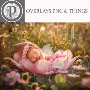 Enchanting Newborn Fairy & Pink Flower Digital Backdrop | Photoshop | Magical Baby Photo Prop | Fantasy Photography Background