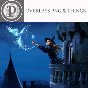 May include: A young witch in a black dress and witch hat stands on a balcony of a stone tower, holding a glowing wand and summoning a blue and white magical bird.