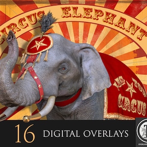 Circus Elephant overlays / Digital clipart / Animal art / Big top props / For Photoshop /digital Download