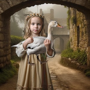 Medieval Fantasy Castle Digital Backdrop / Cobblestone Street Background / Fairy Tale / for photographers / Digital Artist / Photoshop