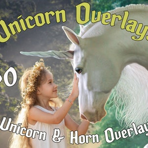 Unicorn Overlays | PNG | Photoshop Overlays | Unicorn digital art | Digital Overlay | Unicorn Clipart for Composite Photography