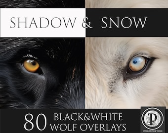 Black  Wolf Digital Overlays,White Wolf PNG Overlays, Animal clipart, Animal overlays, Photoshop overlays,