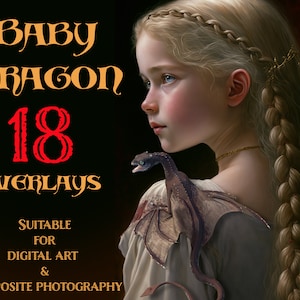 Baby Dragon Overlays | PNG | Photoshop Overlays | Dragon digital art | Digital Overlay | Dragon Clipart for Composite Photography