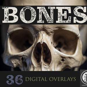 Skeleton Overlays Collection / Bone png / Halloween clipart / Monster overlays / Spooky art / Photoshop Overlays / living Dead /skull.