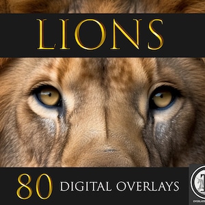 Lion Digital Overlays,Lion clipart,PNG Overlays,Animal Overlays,Photoshop overlays,
