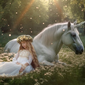 Dreamy Unicorn Digital Backdrop / Unicorn Digital Background /  Fairy Tale / Fantasy / Photographers / digital Artist /
