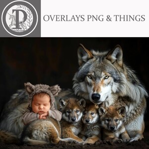 May include: A baby wearing a wolf costume is surrounded by four wolves. The baby is sleeping with its head resting on its hands. The wolves are looking at the camera. The background is dark.